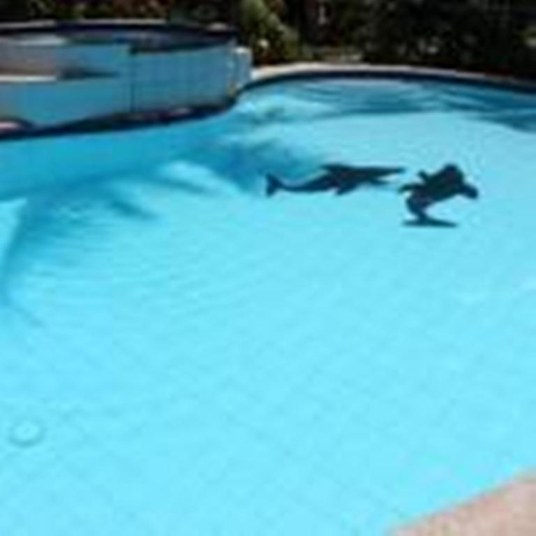 Lost Horizon Beach Dive Resort Bohol Екстериор снимка